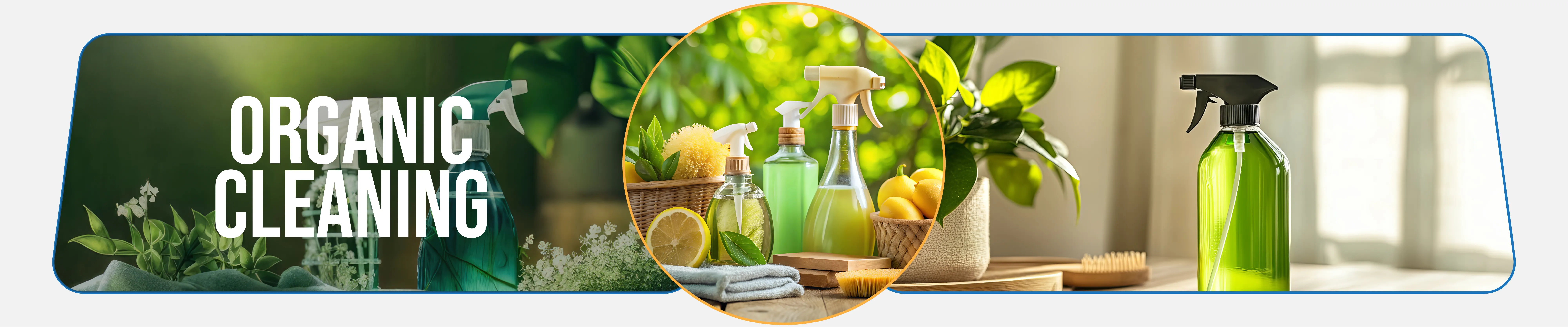 carpet cleaning in queens, carpet cleaning queens, carpet cleaners in queens, carpet cleaners in queens, commercial carpet cleaning, commercial carpet cleaning in queens, queens rug cleaners, rug cleaning services in queens, same day carpet cleaning, same day rug cleaning in queens