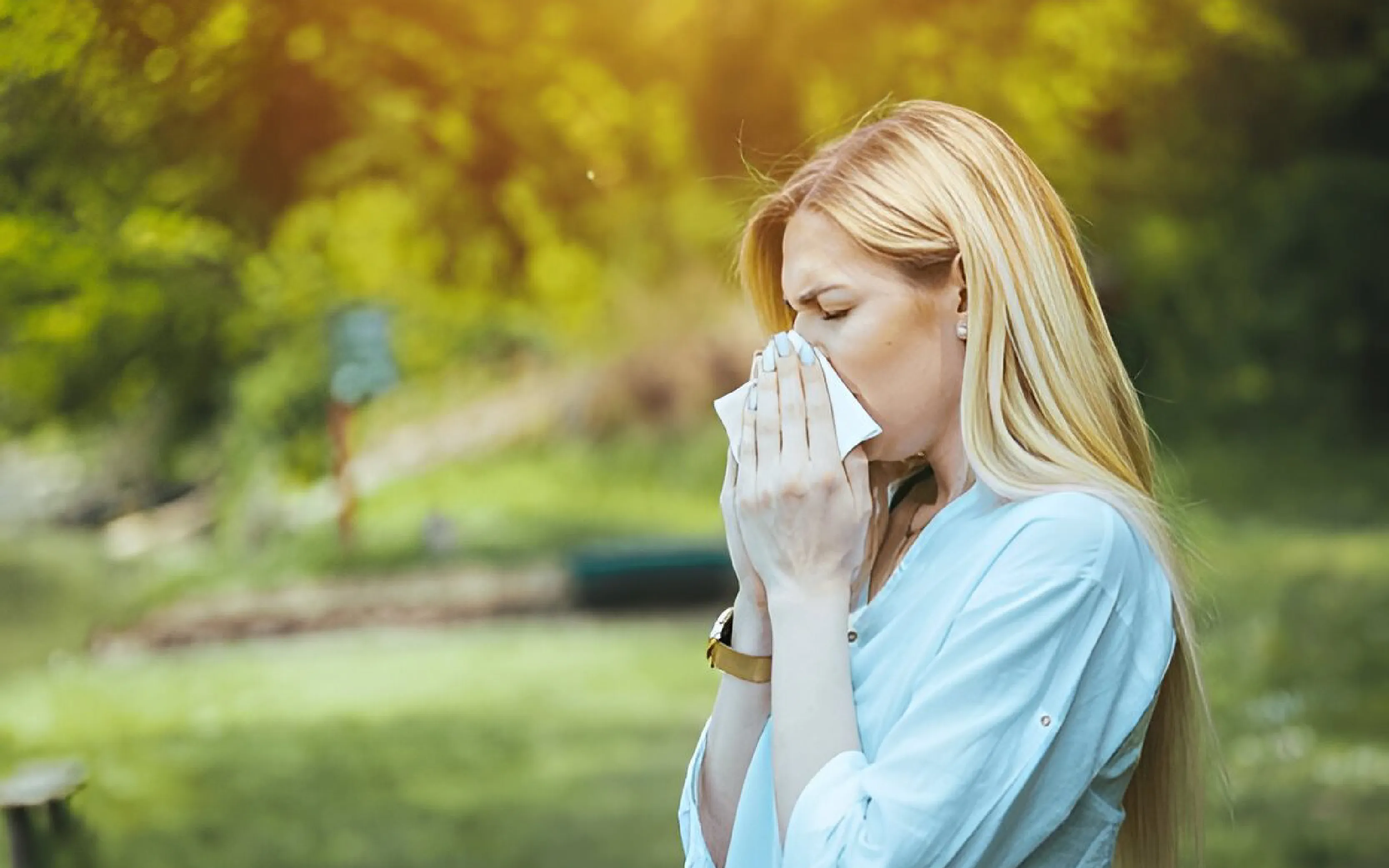 carpet cleaning in queens, carpet cleaning queens, carpet cleaners in queens, carpet cleaners in queens, commercial carpet cleaning, commercial carpet cleaning in queens, queens rug cleaners, rug cleaning services in queens, same day carpet cleaning, same day rug cleaning in queens