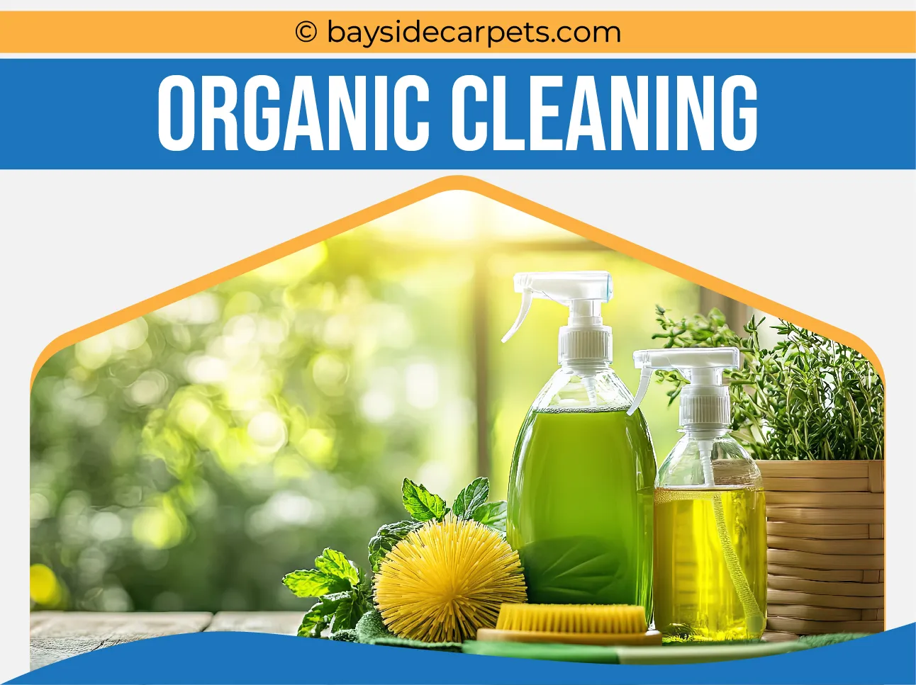 carpet cleaning in queens, carpet cleaning queens, carpet cleaners in queens, carpet cleaners in queens, commercial carpet cleaning, commercial carpet cleaning in queens, queens rug cleaners, rug cleaning services in queens, same day carpet cleaning, same day rug cleaning in queens