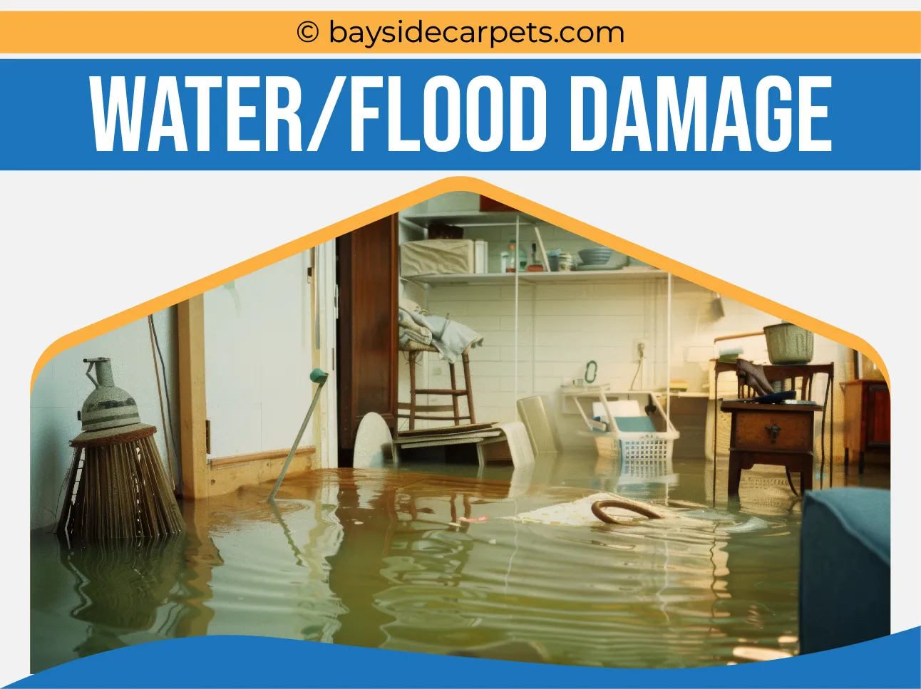 carpet cleaning in queens, carpet cleaning queens, carpet cleaners in queens, carpet cleaners in queens, commercial carpet cleaning, commercial carpet cleaning in queens, queens rug cleaners, rug cleaning services in queens, same day carpet cleaning, same day rug cleaning in queens